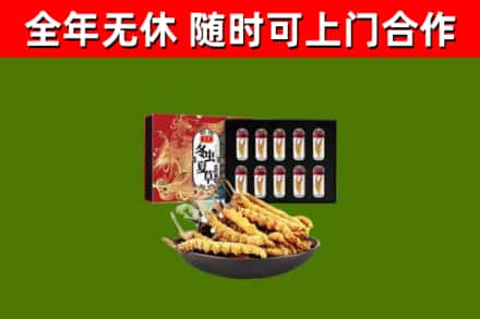 正蓝烟酒回收冬虫夏草礼盒.jpg